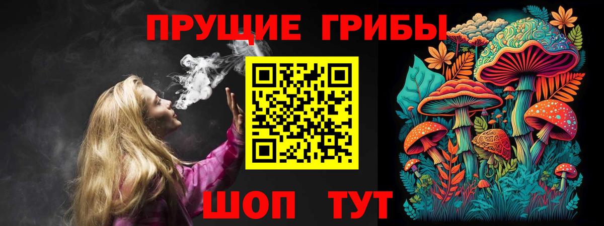 Псилоцибиновые грибы MAGIC MUSHROOMS  Вход с VPN  Менделеевск  Псилоцибиновые грибы Psilocybine cubensis 