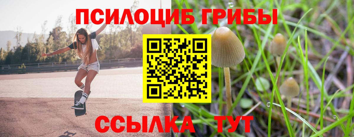 Галлюциногенные грибы Psilocybe Менделеевск